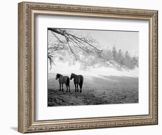 Winter Wonderland: Snow Scene in the Lake District, January 1946-null-Framed Photographic Print