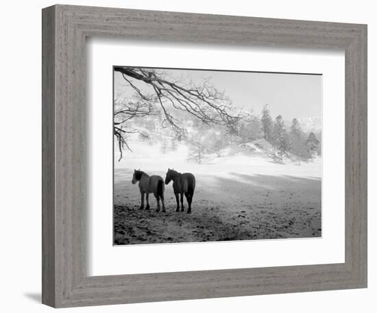 Winter Wonderland: Snow Scene in the Lake District, January 1946-null-Framed Photographic Print