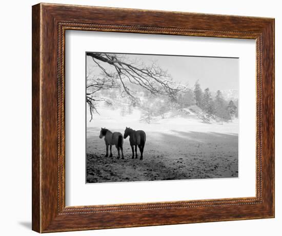 Winter Wonderland: Snow Scene in the Lake District, January 1946-null-Framed Photographic Print