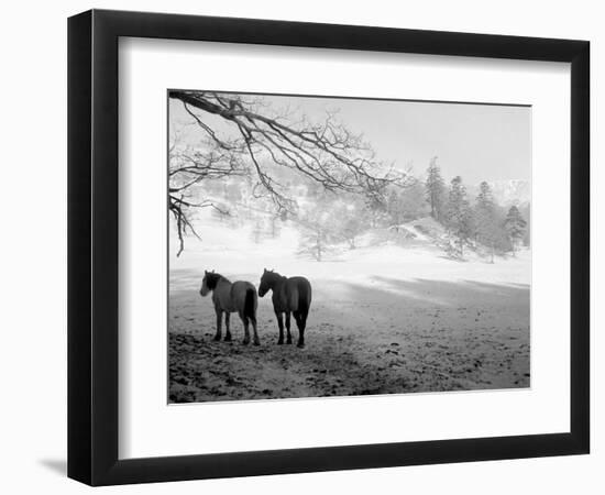 Winter Wonderland: Snow Scene in the Lake District, January 1946-null-Framed Photographic Print