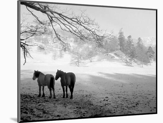 Winter Wonderland: Snow Scene in the Lake District, January 1946-null-Mounted Photographic Print