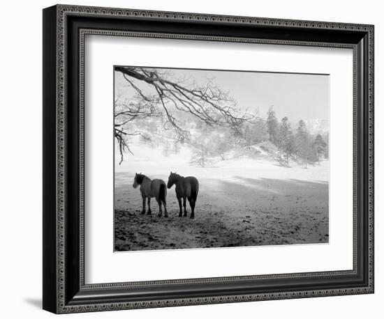 Winter Wonderland: Snow Scene in the Lake District, January 1946-null-Framed Photographic Print