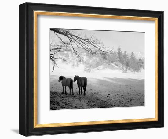 Winter Wonderland: Snow Scene in the Lake District, January 1946-null-Framed Photographic Print