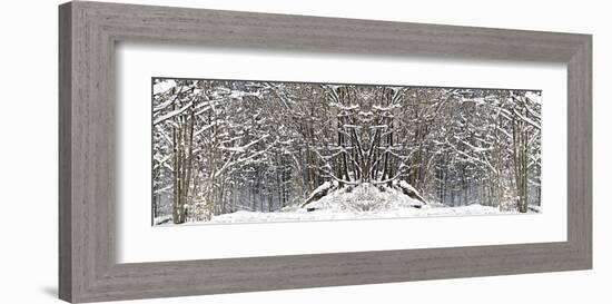 Winter Wonderland-Erin Clark-Framed Giclee Print