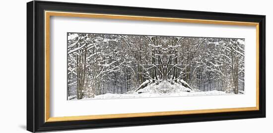 Winter Wonderland-Erin Clark-Framed Giclee Print