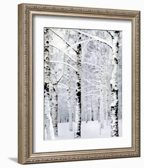 Winter Wonderland-Parker Greenfield-Framed Art Print