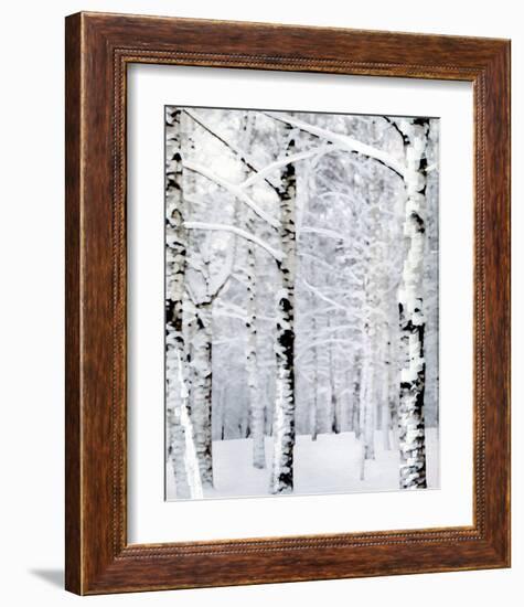 Winter Wonderland-Parker Greenfield-Framed Art Print