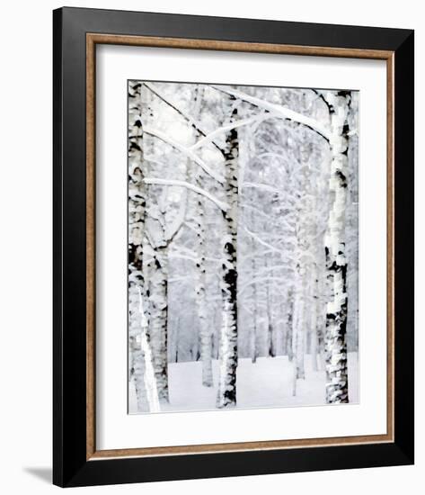 Winter Wonderland-Parker Greenfield-Framed Art Print