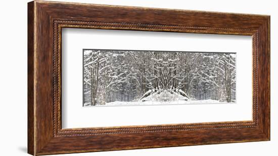 Winter Wonderland-Erin Clark-Framed Art Print