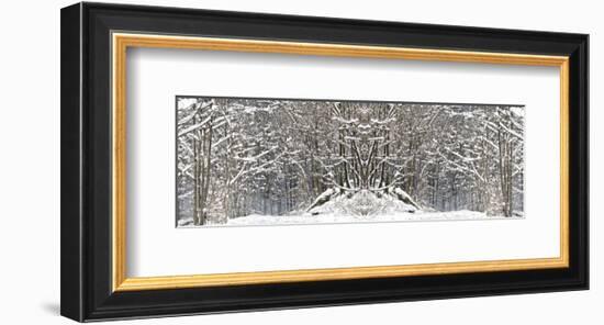 Winter Wonderland-Erin Clark-Framed Art Print
