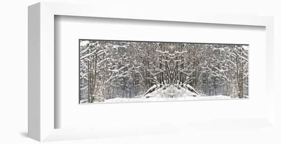 Winter Wonderland-Erin Clark-Framed Art Print