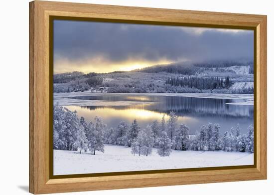 Winter Wonderland-Andreas Stridsberg-Framed Stretched Canvas
