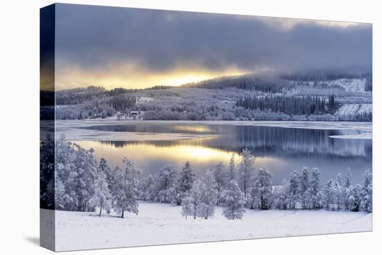 Winter Wonderland-Andreas Stridsberg-Framed Stretched Canvas