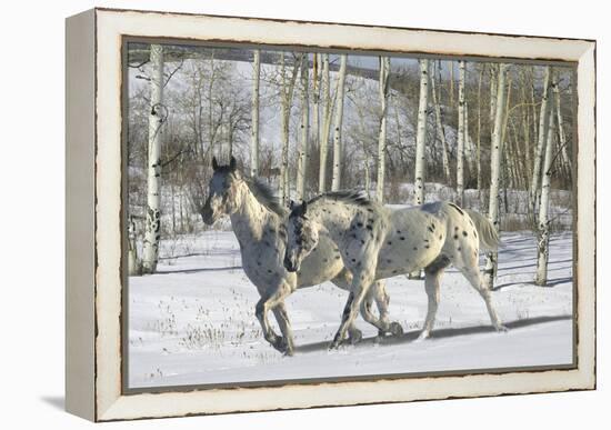 Winter Wonderland-Bob Langrish-Framed Premier Image Canvas