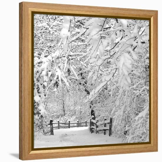 Winter Wonderland-Incredi-Framed Premier Image Canvas