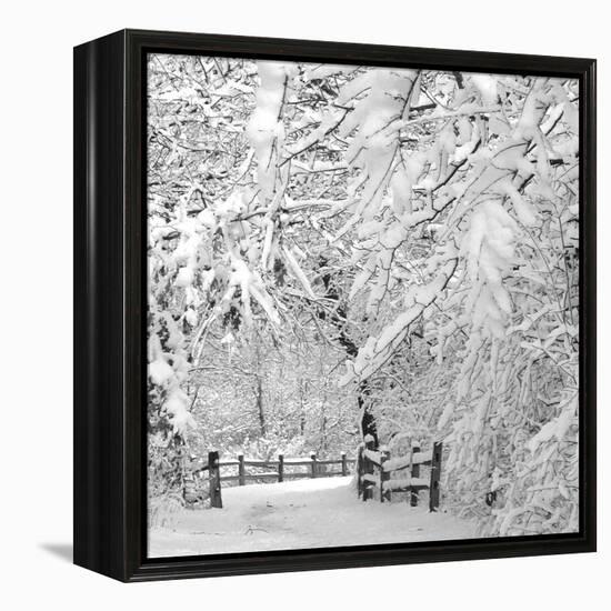 Winter Wonderland-Incredi-Framed Premier Image Canvas