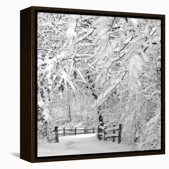 Winter Wonderland-Incredi-Framed Premier Image Canvas