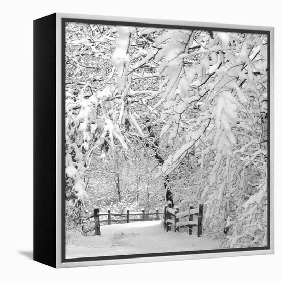 Winter Wonderland-Incredi-Framed Premier Image Canvas