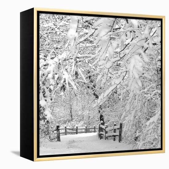 Winter Wonderland-Incredi-Framed Premier Image Canvas