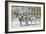 Winter Wonderland-Bob Langrish-Framed Photographic Print