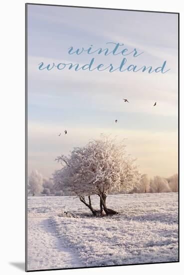 Winter Wonderland-Sarah Gardner-Mounted Photo