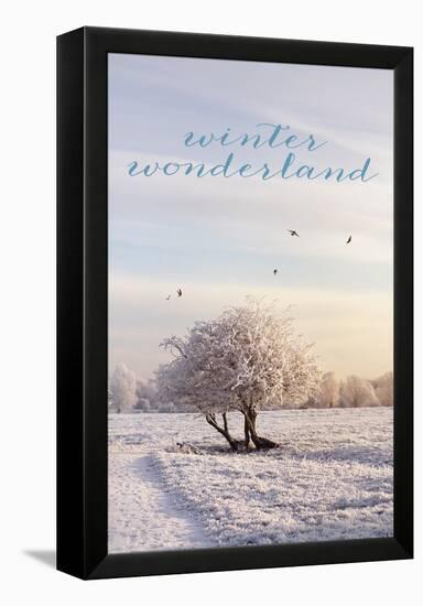 Winter Wonderland-Sarah Gardner-Framed Stretched Canvas