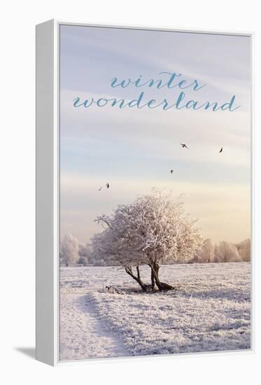 Winter Wonderland-Sarah Gardner-Framed Stretched Canvas