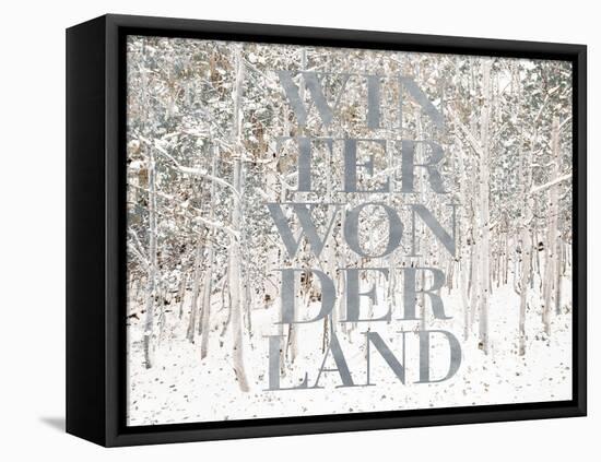 Winter Wonderland-Shelley Lake-Framed Stretched Canvas