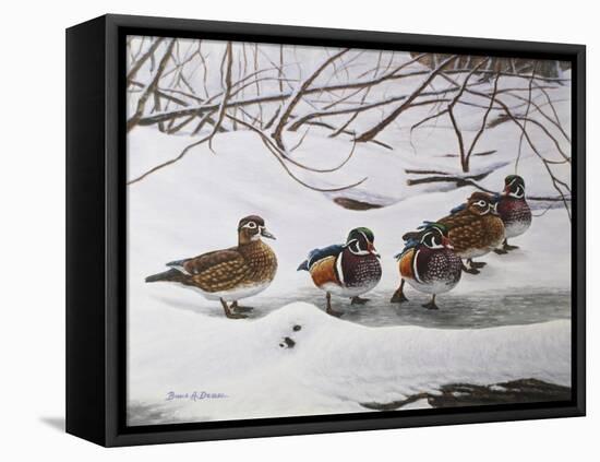 Winter Wood Ducks-Bruce Dumas-Framed Premier Image Canvas