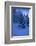 Winter Wood, with Crescent-Ludwig Mallaun-Framed Photographic Print