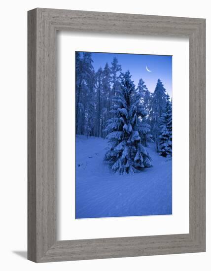 Winter Wood, with Crescent-Ludwig Mallaun-Framed Photographic Print