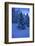 Winter Wood, with Crescent-Ludwig Mallaun-Framed Photographic Print