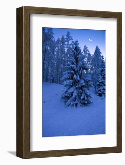 Winter Wood, with Crescent-Ludwig Mallaun-Framed Photographic Print