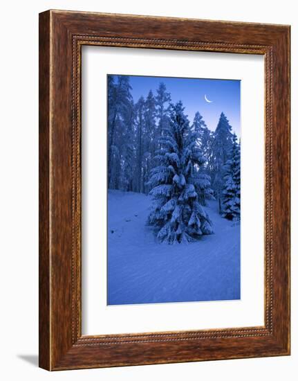 Winter Wood, with Crescent-Ludwig Mallaun-Framed Photographic Print