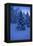Winter Wood, with Crescent-Ludwig Mallaun-Framed Premier Image Canvas
