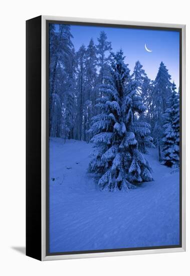 Winter Wood, with Crescent-Ludwig Mallaun-Framed Premier Image Canvas