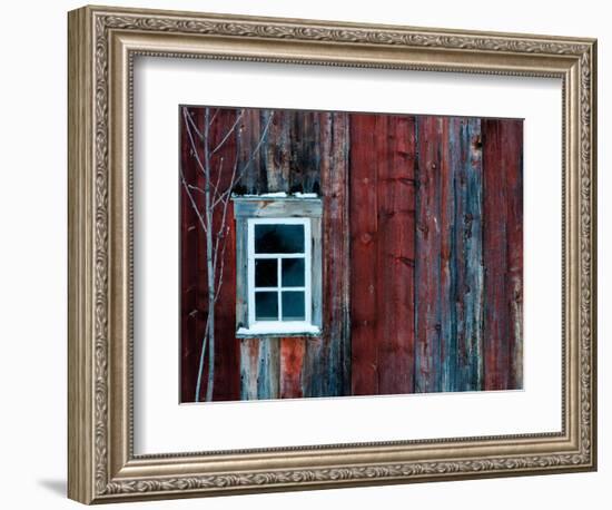 Winter Wood-Doug Chinnery-Framed Photographic Print