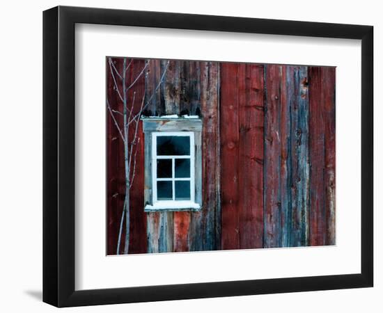 Winter Wood-Doug Chinnery-Framed Photographic Print