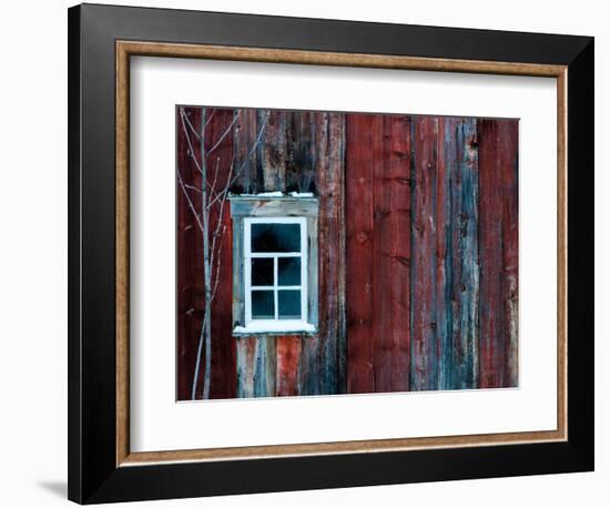 Winter Wood-Doug Chinnery-Framed Photographic Print