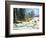 Winter Wood-balaikin2009-Framed Art Print