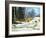 Winter Wood-balaikin2009-Framed Art Print