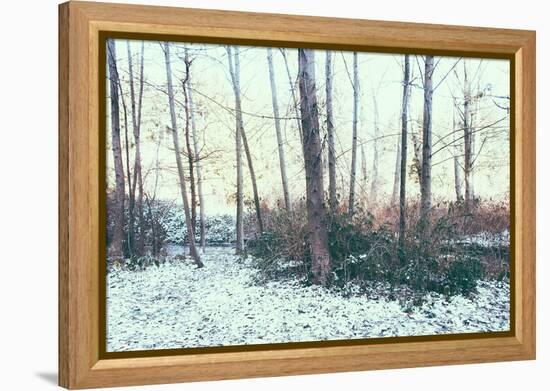 Winter Woodland Scene-Sharon Wish-Framed Premier Image Canvas