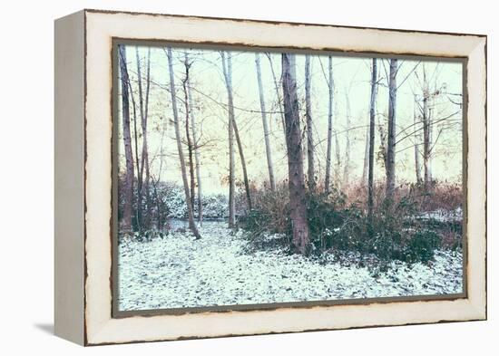 Winter Woodland Scene-Sharon Wish-Framed Premier Image Canvas