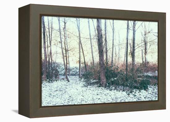 Winter Woodland Scene-Sharon Wish-Framed Premier Image Canvas