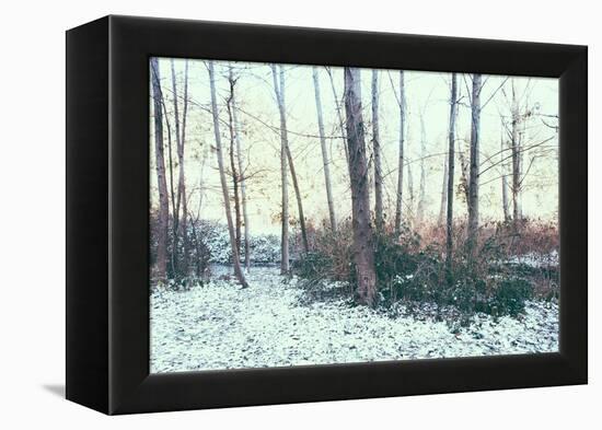 Winter Woodland Scene-Sharon Wish-Framed Premier Image Canvas