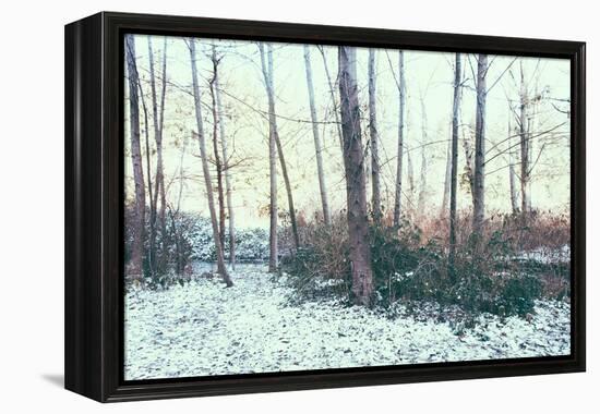 Winter Woodland Scene-Sharon Wish-Framed Premier Image Canvas