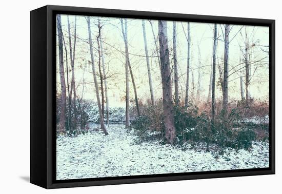 Winter Woodland Scene-Sharon Wish-Framed Premier Image Canvas