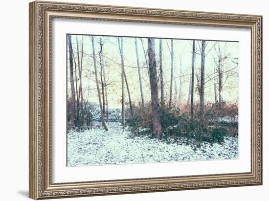 Winter Woodland Scene-Sharon Wish-Framed Photographic Print