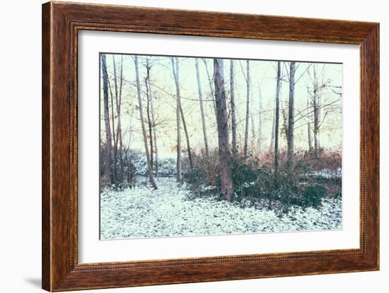 Winter Woodland Scene-Sharon Wish-Framed Photographic Print