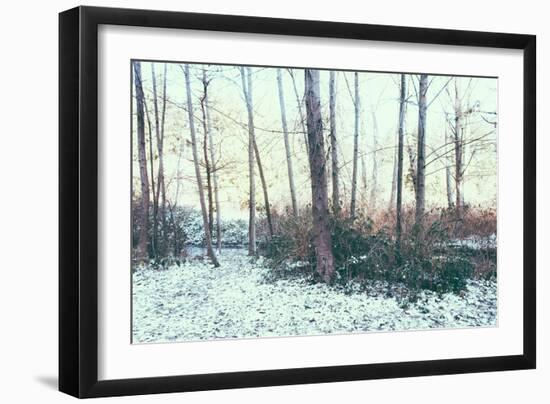 Winter Woodland Scene-Sharon Wish-Framed Photographic Print